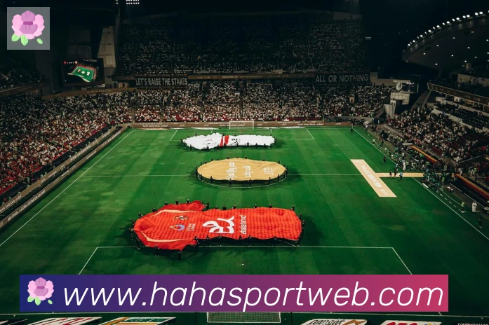 赛事专题整合